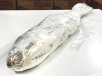 特大馬友鹹魚(40cm以上)