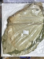 一級荷葉無破損 600g/包(中國)